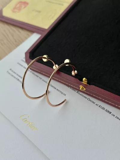 Серьги Cartier гвоздь — фото 1